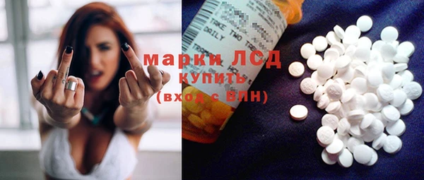 индика Балахна