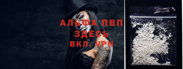 индика Балахна