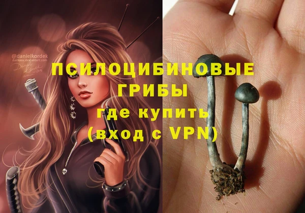 мяу мяу мука Баксан