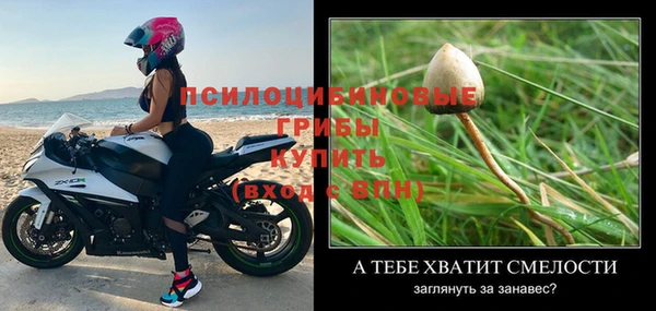 индика Балахна