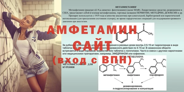 мяу мяу мука Баксан