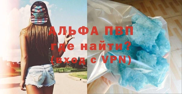 индика Балахна