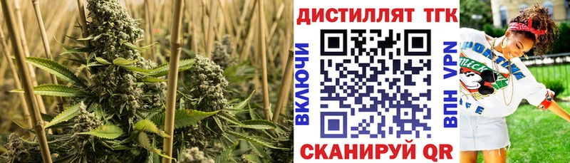 Дистиллят ТГК THC oil  цена   блэк спрут вход  Фокино 