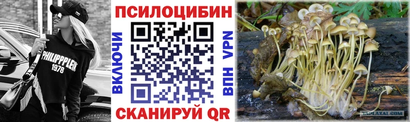 Псилоцибиновые грибы прущие грибы  сколько стоит  Фокино 
